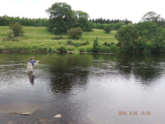 Speycasting delivery